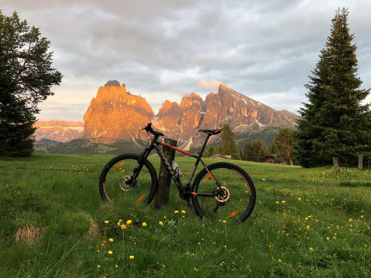 Saltria - Your Alpine Experience Alpe Di Siusi Kültér fotó